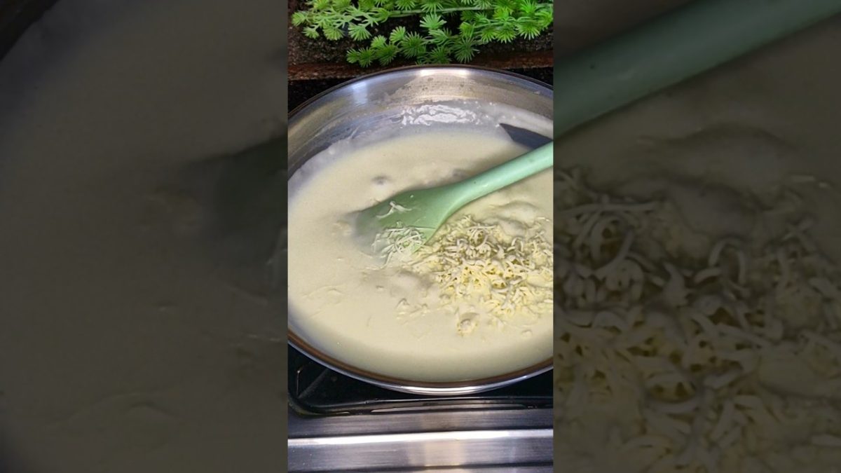 White sauce pasta | How to make white sauce pasta at home#macronirecipe #whitesouce #shorts 😋