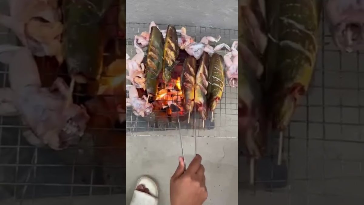 Cat fishes and Frogs BBQ #outdoorcooking #traditionalcooking #primitivecooking #junglecooking