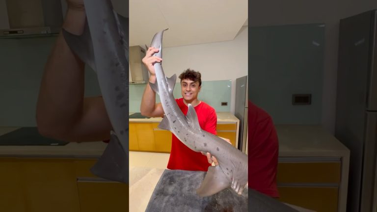 Cooking MASSIVE Shark