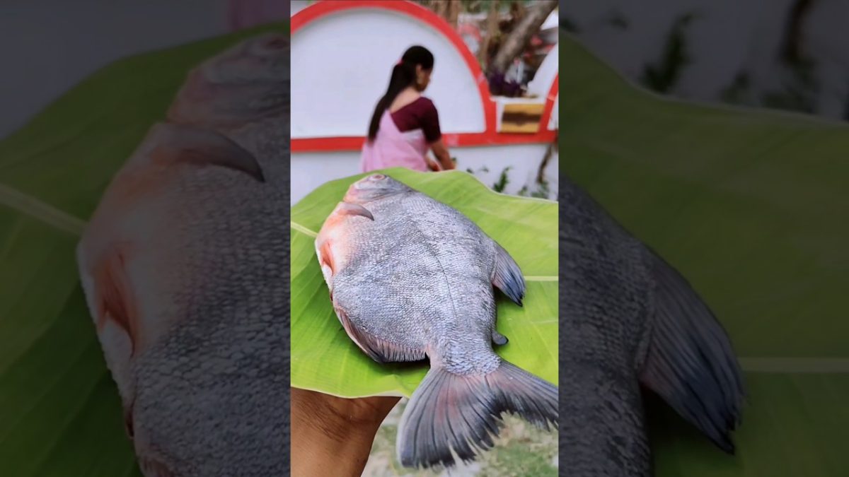 fish fry masala fry #recipe #shortsfeed #shorts #ridhimahomekitchen #ytshorts @YouTube #cooking