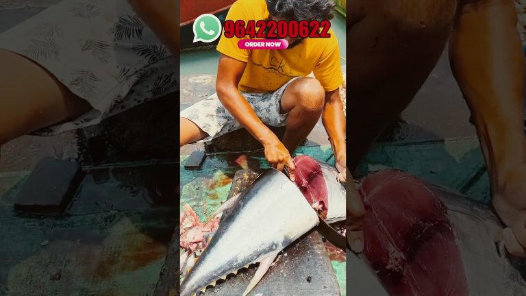 Yellow Tuna Fish 🐟 To Hyderabad #fishing #seafood #tuna #tunafish #tuna_fish_cutting #seafoodrecipes