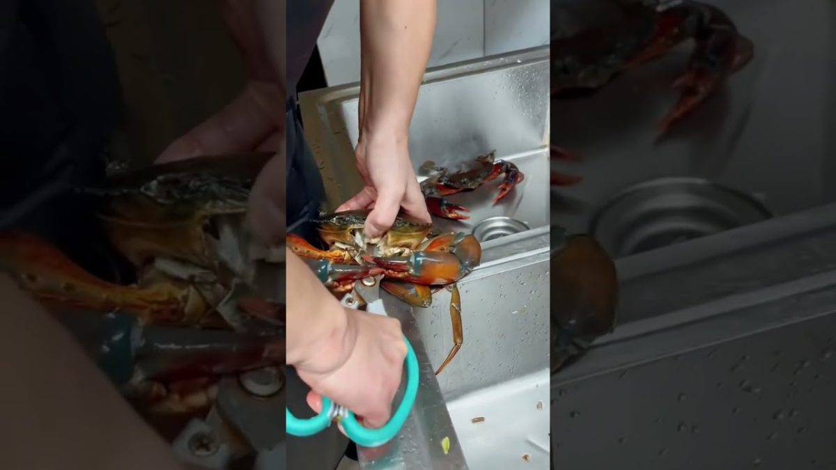 Crabs 🦀 are Ready #seafoodprep #seafood #rivercrab #seafoodrecipes #food #butcher #crab #crabs