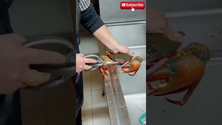 Do you Like Crabs 🦀 #seafood #seafoodrecipes #butcher #crabs #crab #recipe #fishing #food #fish