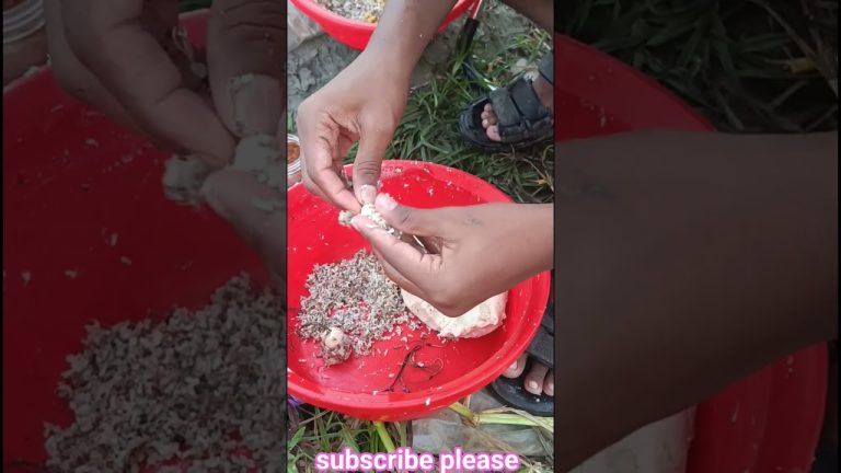 #fishing #seafood #fhiscurry #fish #vlog #fishgravyrecipe #seafoods #birds #seafoodrecipes