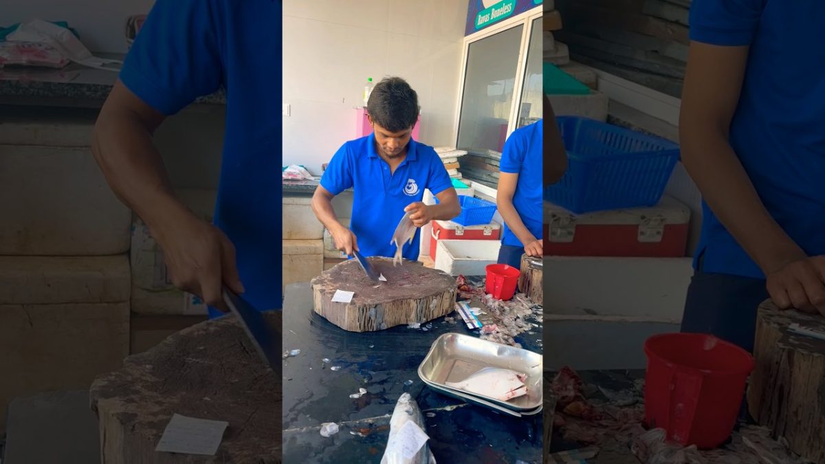 Paplet #fish #viralvideo #fishing #food #seafood #viralvideo #ytshorts #shortvideo #seafoodrecipes