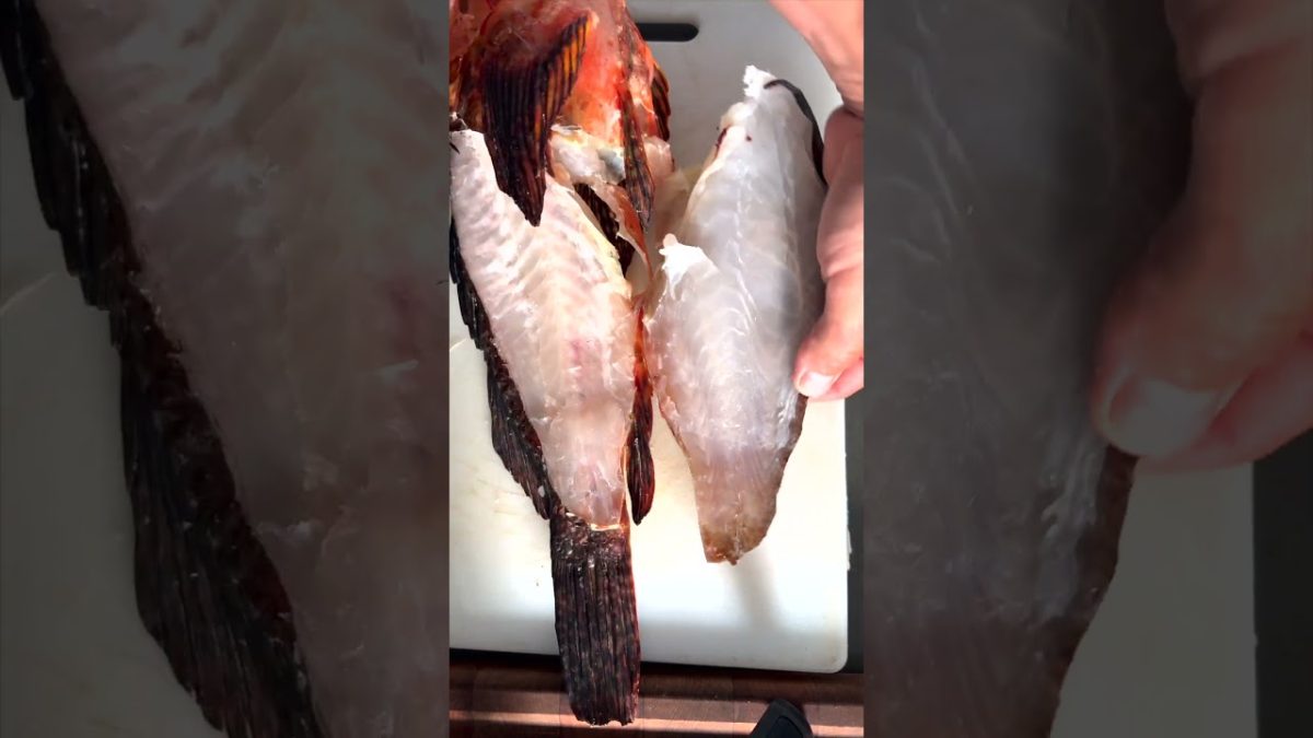 14 Day Aged Fish