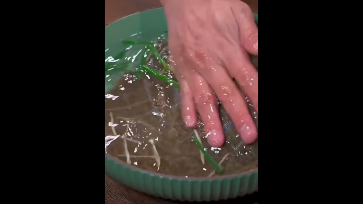 masakan rumahan,ide resep ikan sebelah kukus&cara olah yang bener supaya lembut&tidak bau amis