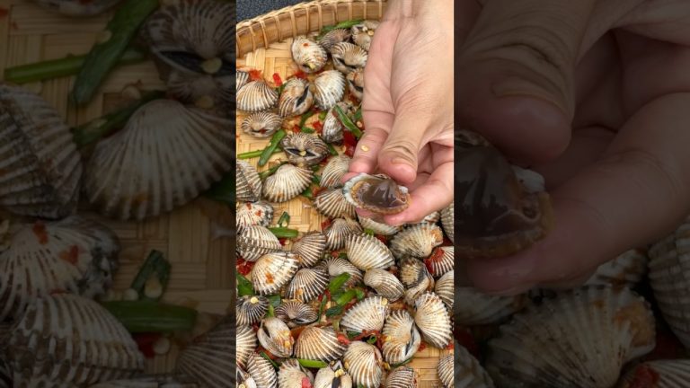 Yummy Shell Cooking Recipes #ShellCooking #yummyrecipe #seafoodrecipes od