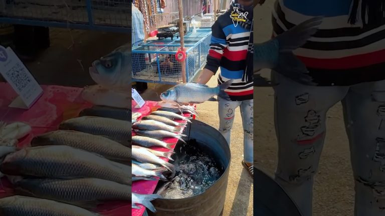 Jharkhandi Style Village Wali Catla Fish Recipe #jharkhand #shorts