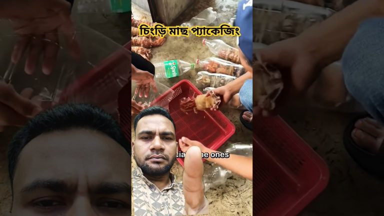 চিংড়ি মাছ প্যাকেজিং #cooking #food #fishing #recipe #seafood #shortsfeed #shorts #short #status