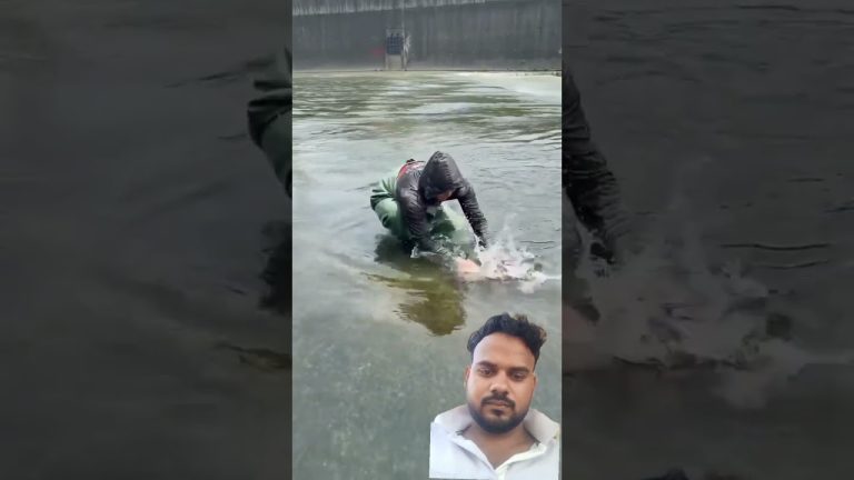 #food #fillet #seafood #sushilife #fish #seafoodrecipes #chicken #chickenrecipes #vlog #streetfood