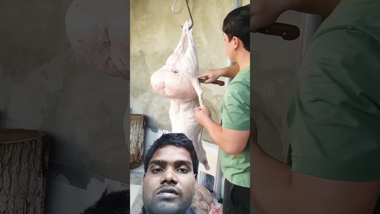 #food #khanachallenge #seafood #comedy #foodnerd #fish #funny #foodforfoodies #seafoodrecipes #duet