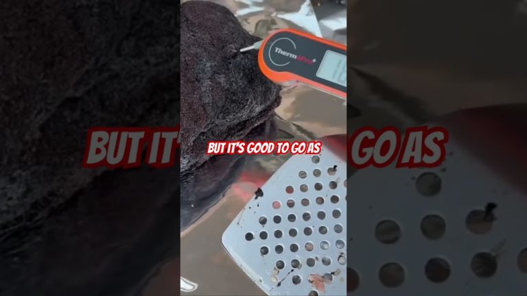 This pork is just about ready! #bbq #food #bbqmeat #grilling #grilltime 🔥🔥🤘