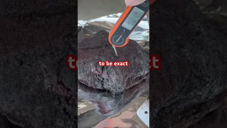 I’m just checking a few temps on this pork #bbq #bbqseasoning #bbqnation #howtobbqright #bbq🔥🔥