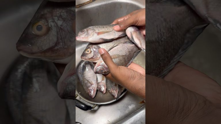 Tawa🐟fish fry‼️recipe #seafood #recipe #cooking #tamilfoodblogger #food #streetfood #foodblogger