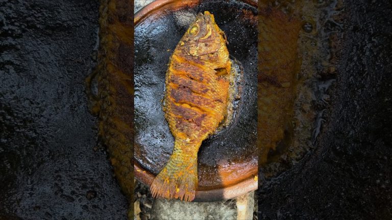 Fish fry recipe | Telapia fish fry #shorts #fishfry #cooking