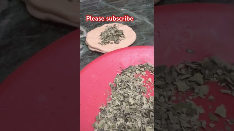 🇮🇳 Moringa paratha delicious soft moringa paratha Roti recipe #food #cooking #crazykitchenlaxmi 🔥🇮🇳