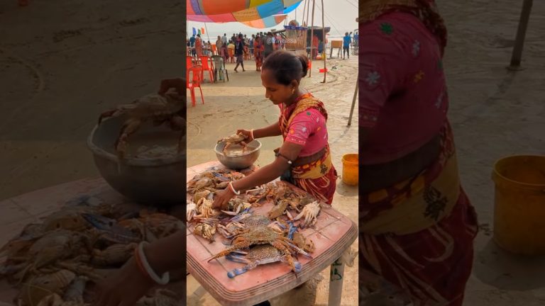 Crab fry🦀Udaipur sea beach🏖️ Digha sea beach🏖️#shots#digha#seafood#fishfry