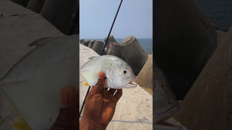 The Scrumptious Fish Fry.  #shorts #seafood #fish #shortsfeed