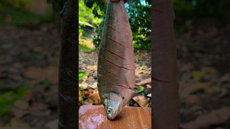 Delicious fish fry recipe | Foli fish fry #shorts #fishfry #ytshorts