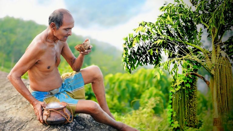 Village-Style Pork Curry & Toddy Tasting | Full Recipe & Real Village Life