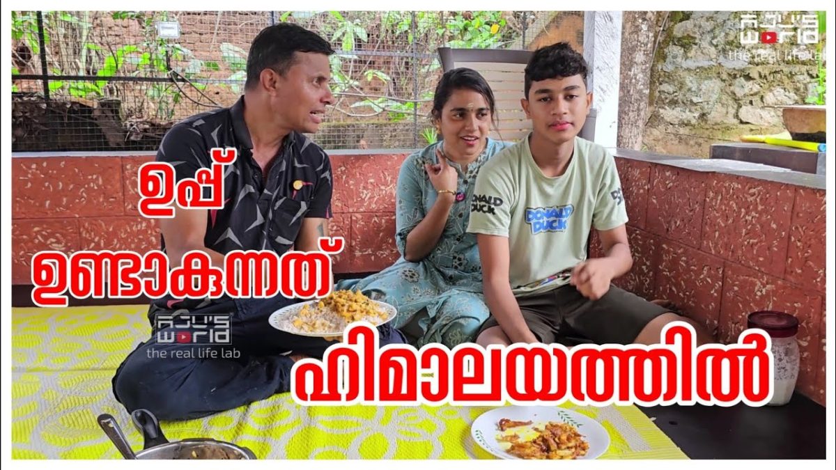 കണ്ണുള്ളപ്പോൾ വിലയില്ല…/Chakka recipe /Jackfruit harvest/Village cooking/Chakka fry/Family vlog