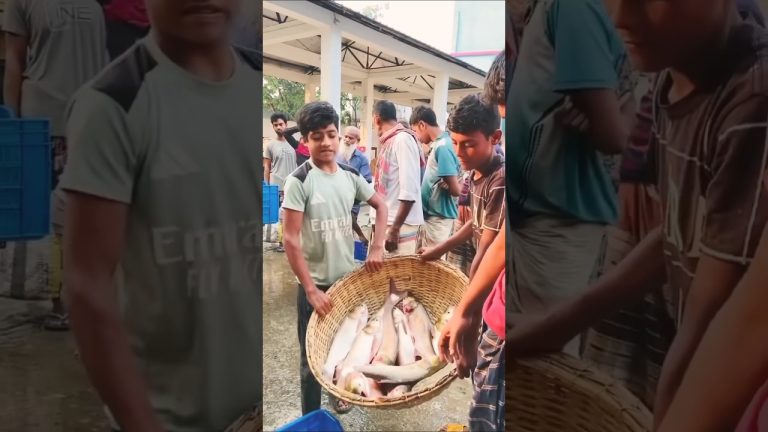 মাছ বাজার ঢাকা #rivercrab #seafood #villagemarket #fish #nature #seafoods #vlog #seafoodrecipes