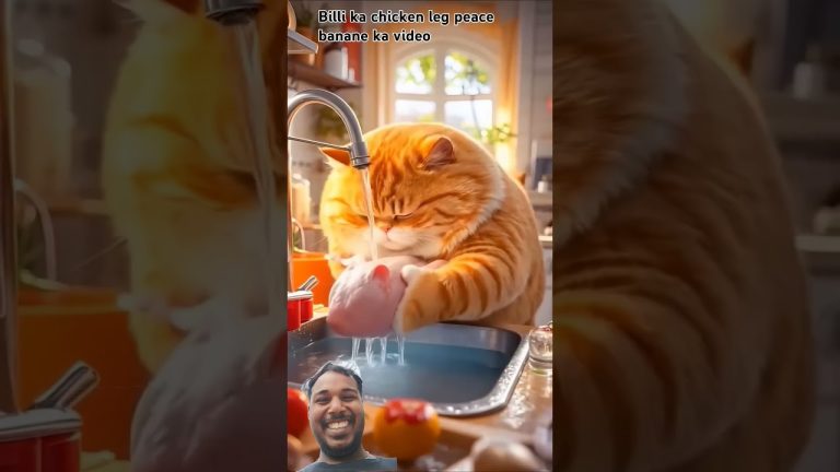 #funny #comedy #food #haydrabadibiryani #seafood #hajibiriyani #seafoodrecipes #fishing #brya