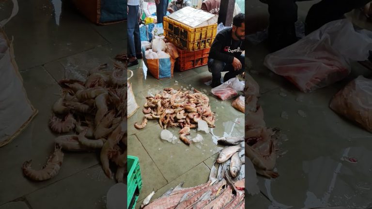 big prawns #आगरी_कोळी_संस्कृती #fishing #seafood #fish #मासेमारी #seafoodrecipes #fishseafood