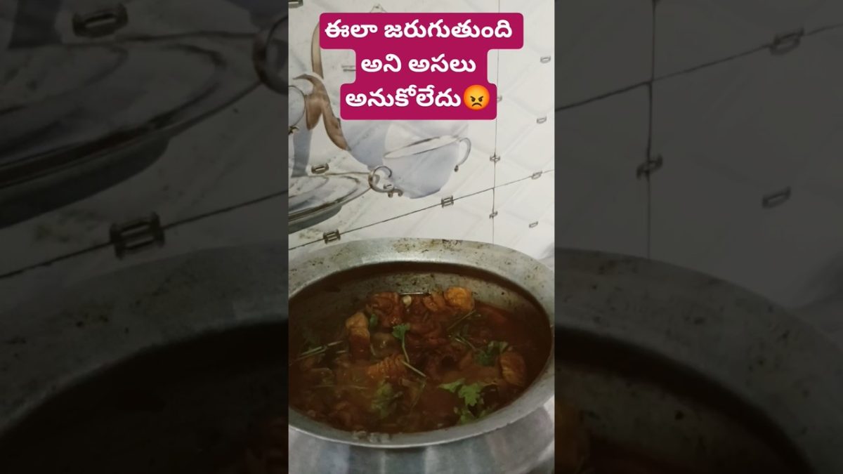 కర్రీ వండేటప్పుడు మధ్యలో పవర్ పోయింది😡#chicken #recipe #shorts #trending #vira #short #youtubeshorts