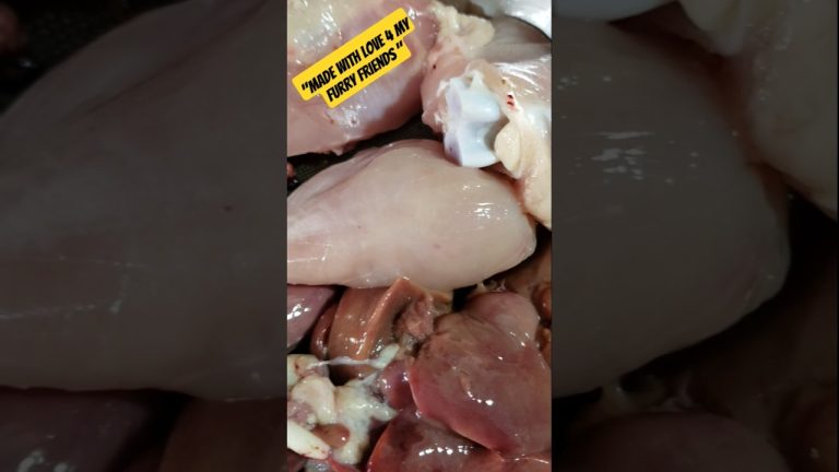 Chicken & rice recipe || homemade cat food #recipe #trending #shorts #ytshorts