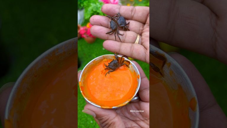 Tiny Crab 🦀 Recipe 😋  #shorts #shortsvideo #youtubeshorts #minicocinar