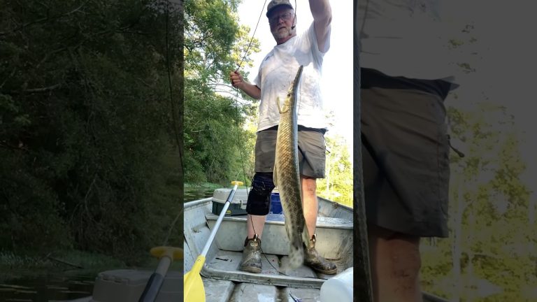 Fried gar fish ! #seafoodrecipes #food #deliciousfood #fish #recipe #cooking