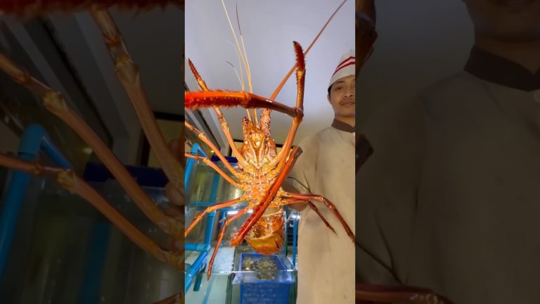 Dragon Lobsters nobody know Cooking sashimi easy recipes #shorts #koreanfood #seafood