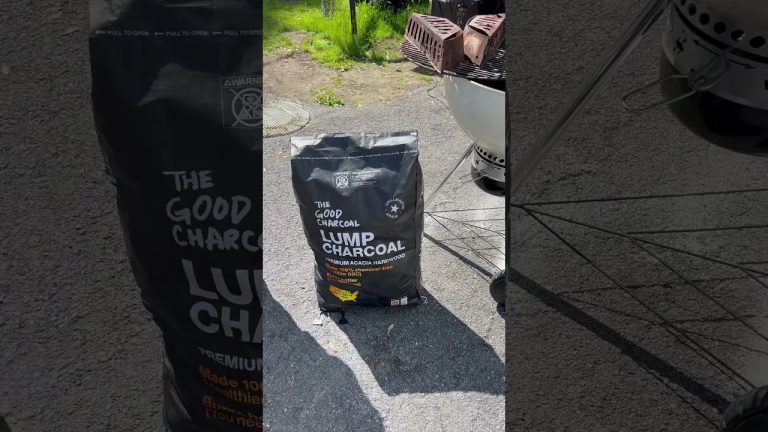 First try #bbq #charcoal #shorts