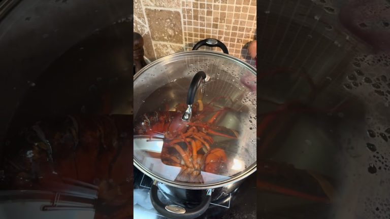 Cooking lobsters #cooking #seafoodrecipes #like #live