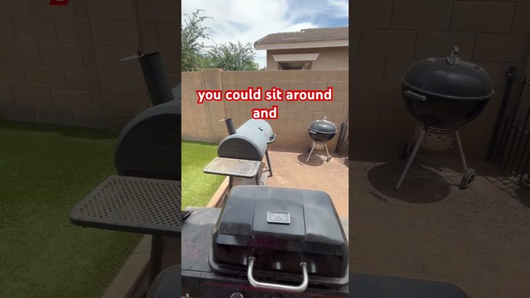 BBQ Spare Ribs#bbq #porkribs #ribs #traegergrills