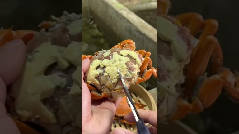 Crabs 🦀 #seafood #rivercrab #recipe #crab #seafoodprep #fish #butcher #seafoodrecipes #crabs