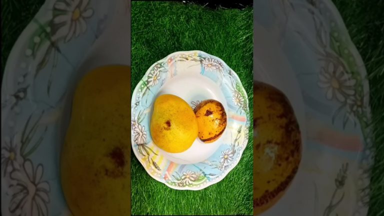 మామిడిపళ్ళు తో  రెసిపీ #shorts #youtubeshorts #mangofruit #recipe #juice #food #telugu #homemade