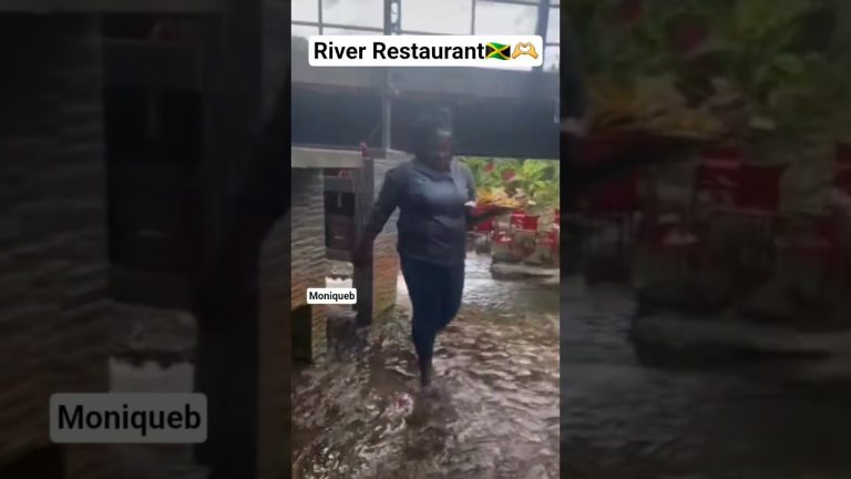 River Restaurant #reggae #seafood #food #seafoodrecipes #travel #fishrecipes #cooking #short#foodie