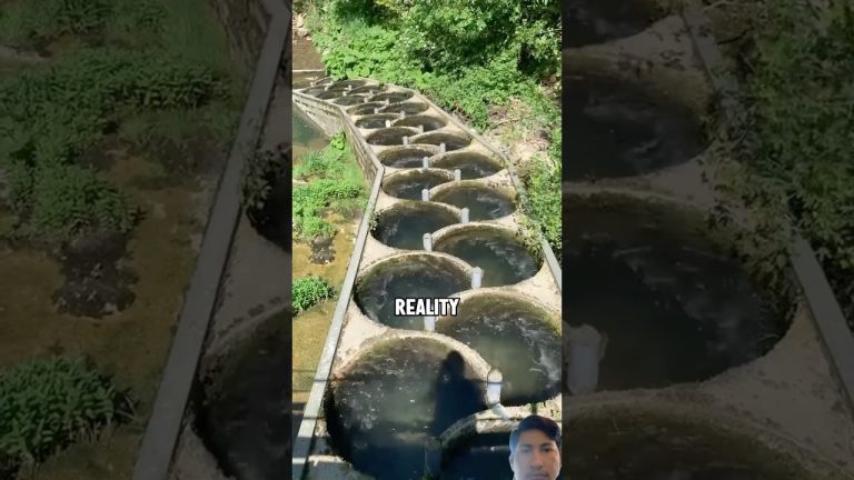 #buddha #food #seafood #cruiseship #fish #automobile #funny #cartoon #ihavethisthingwith #recipe