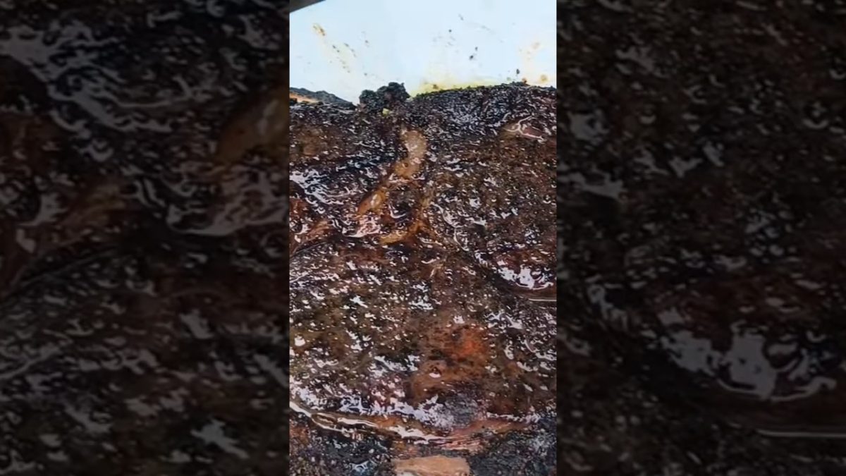 Rub containing Sugar on Steak seared @ 650°f #seared #steak #grilling #texasbbq #beef #flamegrilled