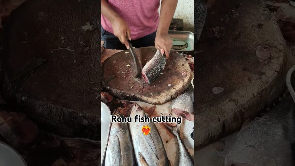 #fresh #fishcutting #pangasfish #seafood #satisfying #seafoodprep #food #fish #seafoodrecipes