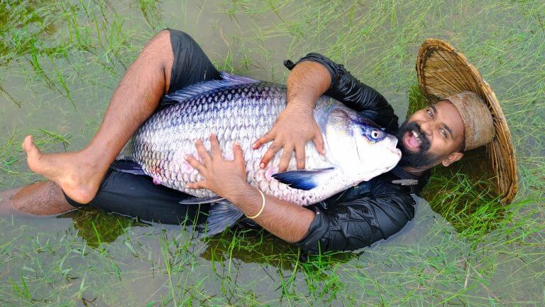 Giant Fish Recipe With Rain | മീനെ മുഴുവനായി കറിവെച്ചാലോ | M4 Tech |