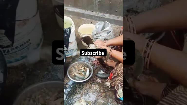 #nellorefishmarket #crabcleaning #easycrabcleaning #seafoodrecipes #heartyskitchen #fhiscurry