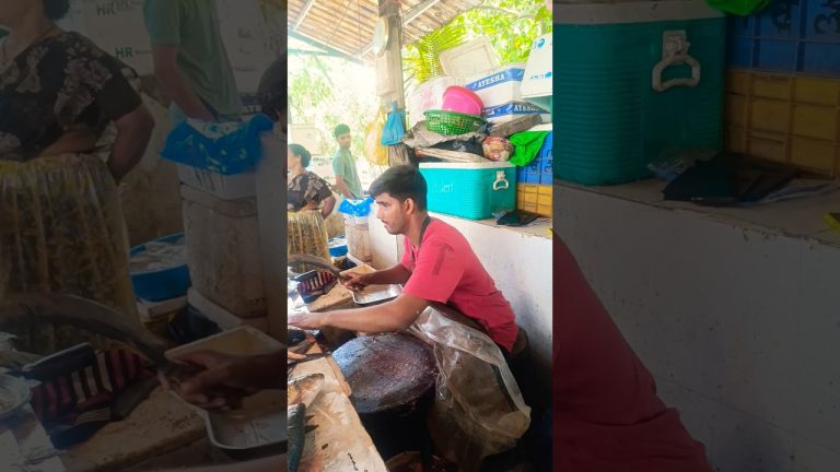 #fresh #pangasfish #seafood #satisfying #seafoodrecipes #freshseafood