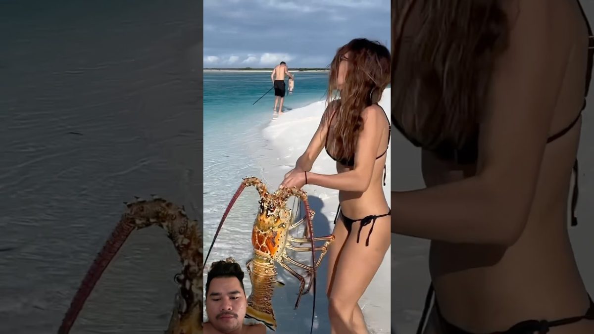 #fishing #beach #automobile #alligatorsnappingturtle #seafood #fish #seafoodrecipes #animals