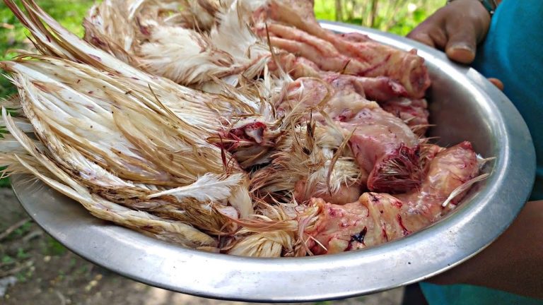 Chicken skin with Jackfruit recipe | Chicken skin recipe unique recipe | Murgi ki chamdi recipe |