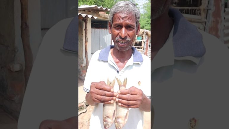 Fish curry masala in Desi style 😋||देसी मछली मसाला करी|#Shorts#Tiktok #Food #cooking  #Recipe#fish