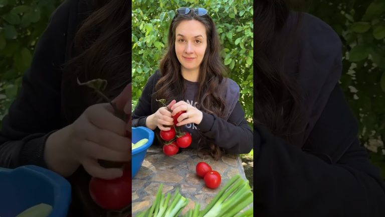 SELO JE BOLJE NEGO GRAD #stuberi